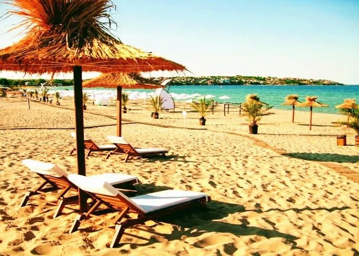 Apollon7 Comfort نيسيبار